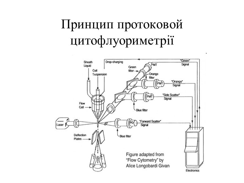 Принцип протоковой цитофлуориметрії